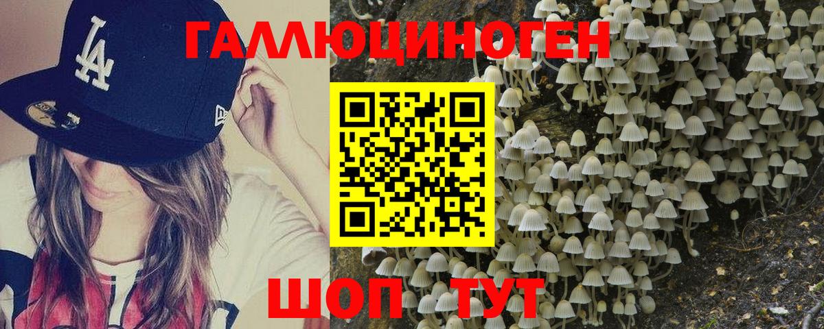 Псилоцибиновые грибы GOLDEN TEACHER  Вход с VPN  Новозыбков 