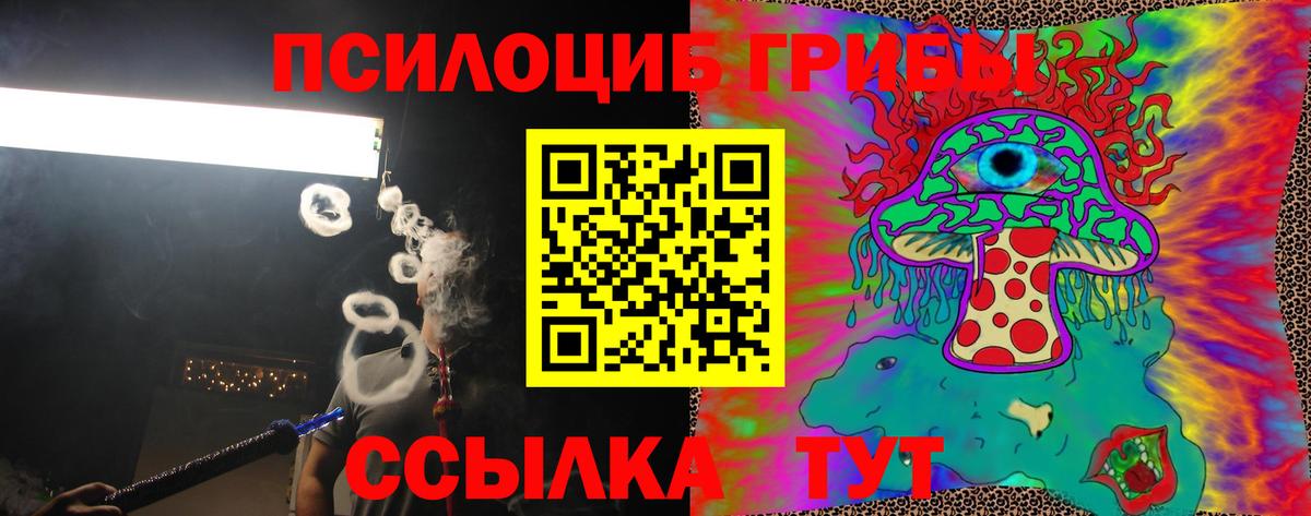 Псилоцибиновые грибы мицелий Новозыбков